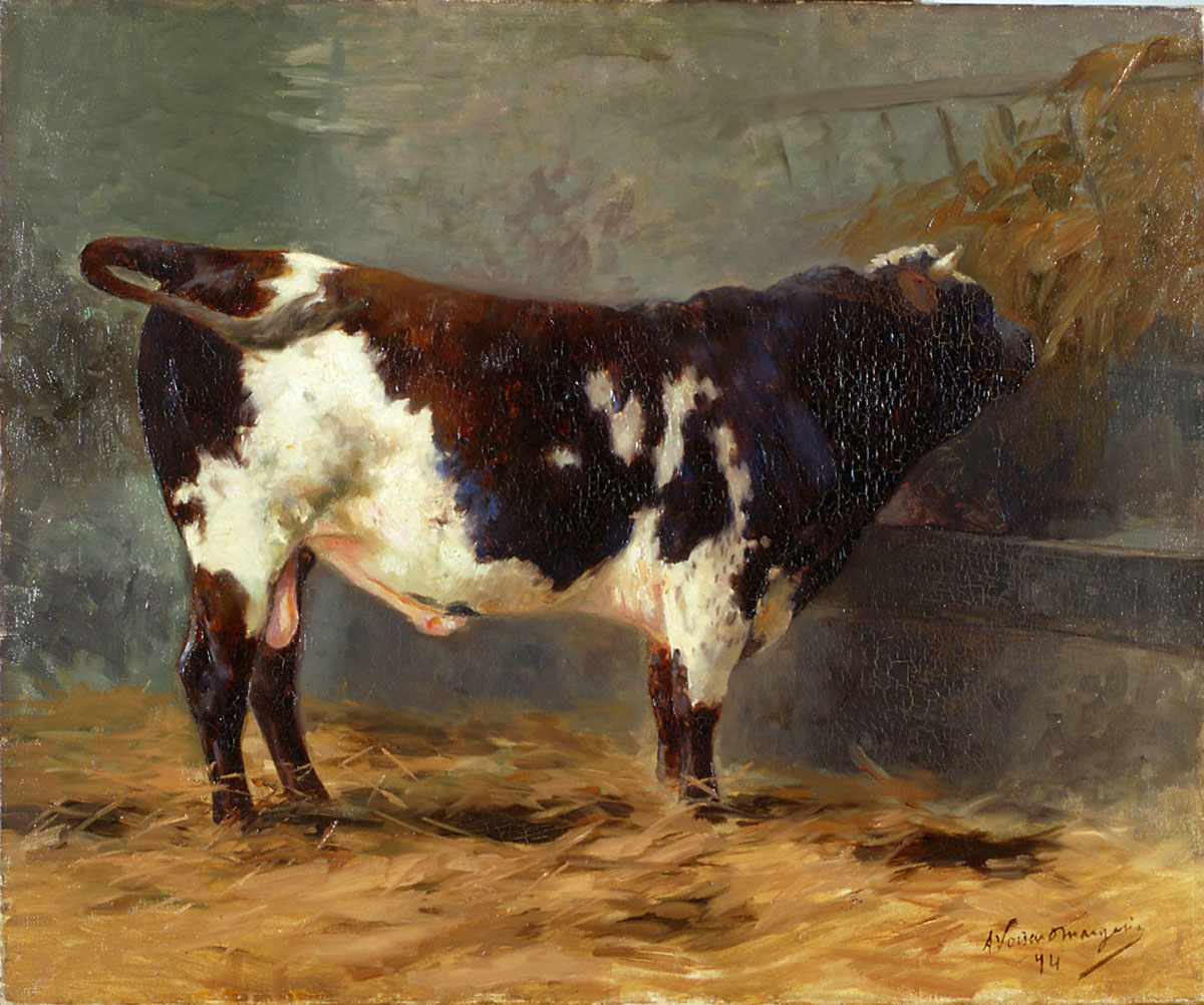 Taureau à l'étable_0